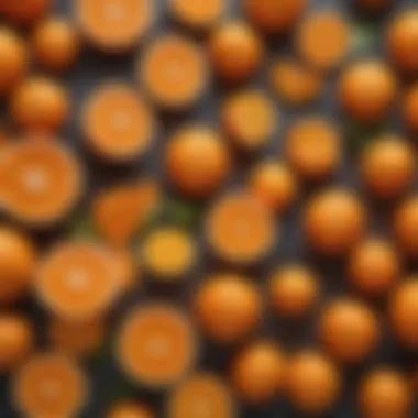 Vibrant display of various orange varieties