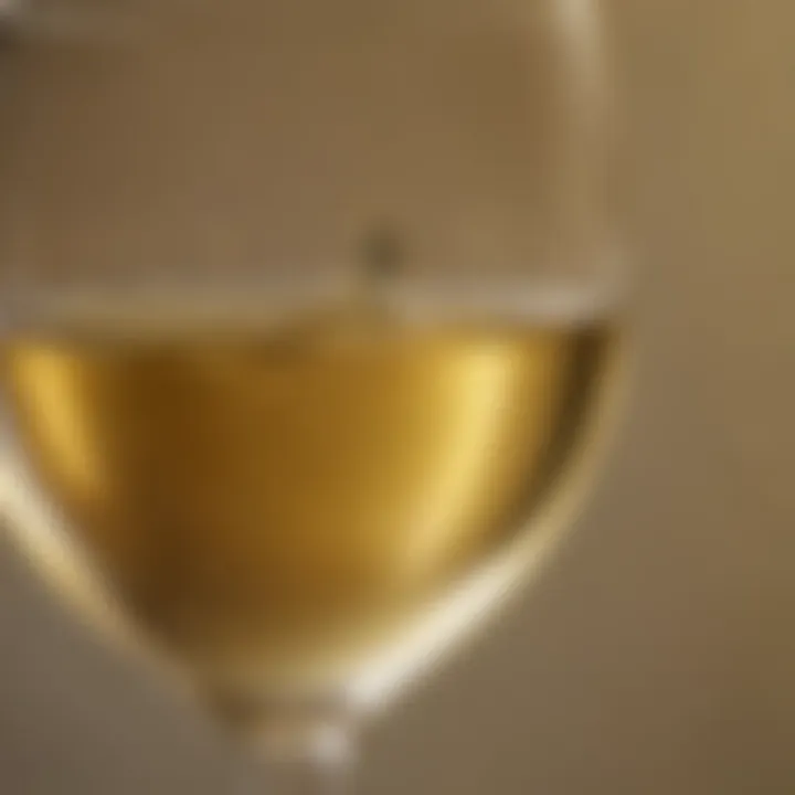 Close-up of a glass of Chardonnay wine with golden hues