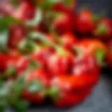 A vibrant display of Hatch red chile peppers showcasing their rich color and texture.