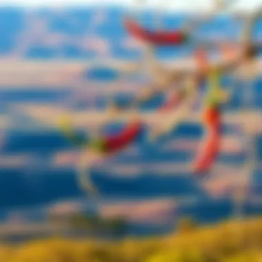 An expansive view of Hatch, New Mexico's picturesque landscape where red chiles are cultivated.