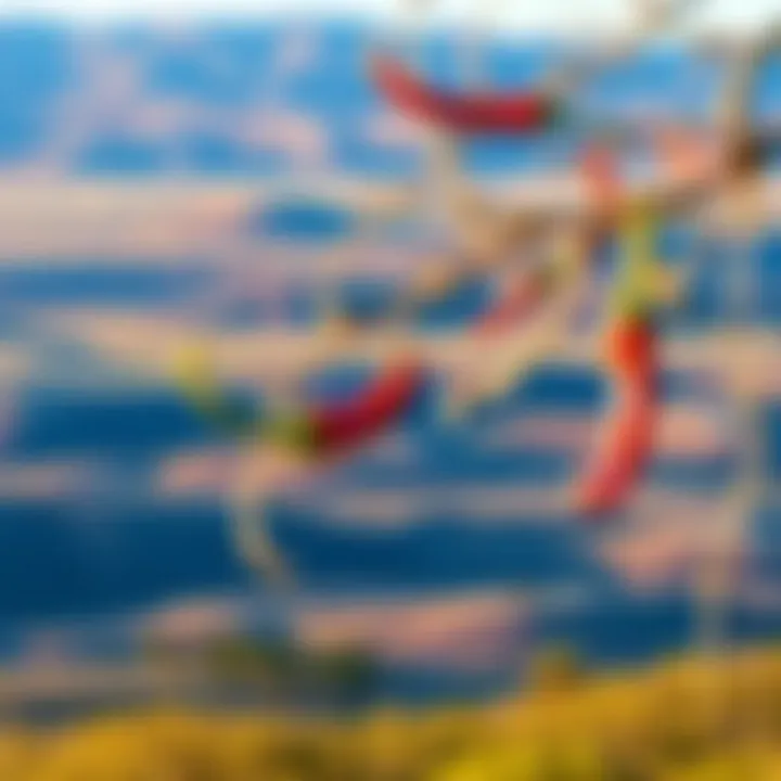 An expansive view of Hatch, New Mexico's picturesque landscape where red chiles are cultivated.