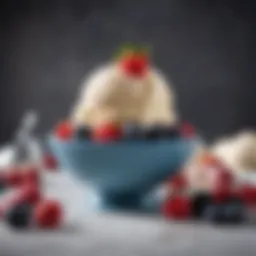 A bowl of creamy keto ice cream with fresh berries on top
