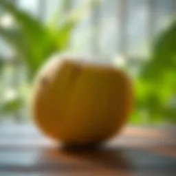 A fresh young Thai coconut on a wooden table.