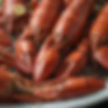 Sustainable lobster fishing practices