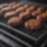 Grill Reviews 2021: An In-Depth Examination Introduction