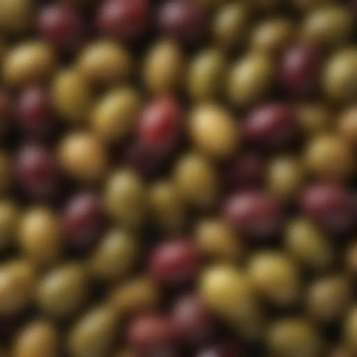Close-up of olives highlighting their polyphenol content
