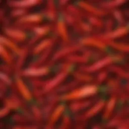 A close-up of vibrant chili peppers showcasing their natural hues
