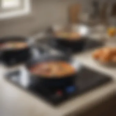 Comparison of induction cooktop and traditional stove