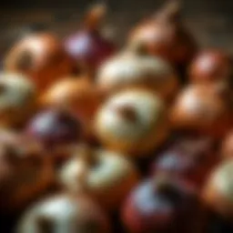A variety of onions showcasing their unique colors and textures