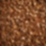 A beautifully arranged assortment of various wood chips ready for grilling.
