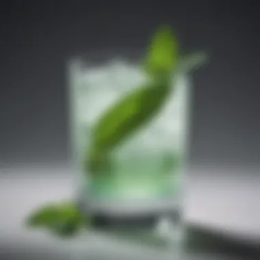 A cocktail glass with a refreshing mint-based drink garnished with a mint leaf and a slice of lime.