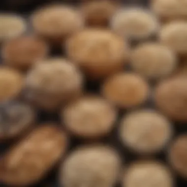 Varieties of Oats for Optimal Health Selection of oat varieties known for their health benefits