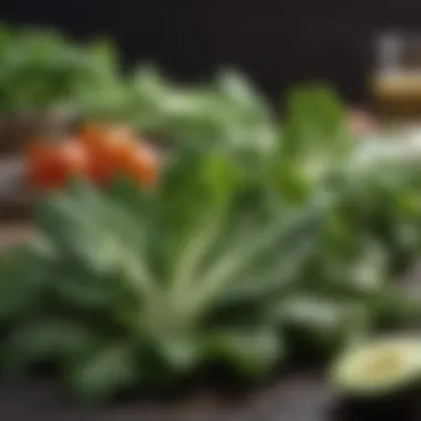 Fresh Green Leafy Vegetables Fresh green leafy vegetables suitable for keto