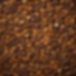 A vibrant display of assorted organic reeces ingredients