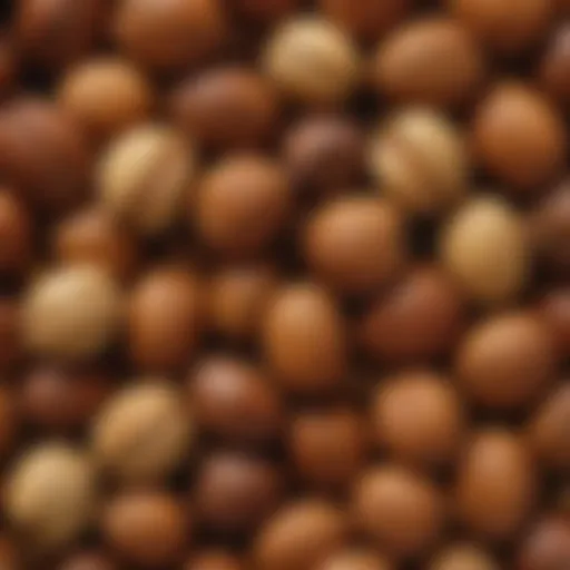 A close-up of pignoli nuts showcasing their unique texture and color.