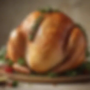 Succulent Butterball turkey breast glistening with seasoning