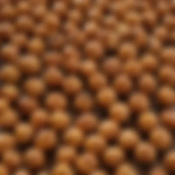 A close-up of roasted chickpeas showcasing their crispy texture.