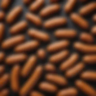 Synthetic Sausage Casings Synthetic sausage casings showcasing their diverse textures