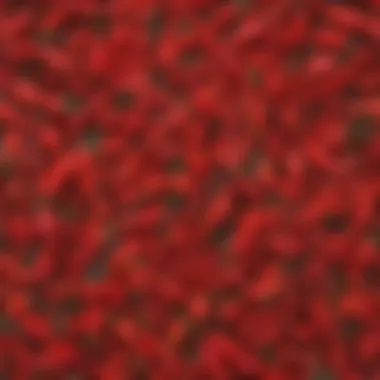 Textures of Hot Peppers A close-up shot highlighting the intricate details and textures of hot peppers