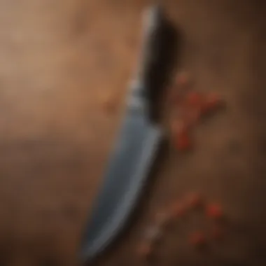 Key features of a chef knife highlighted