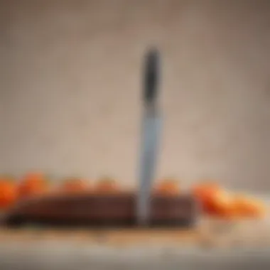 Top Chef Knife Recommendations Recommendations for top chef knives based on user feedback