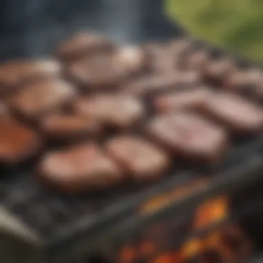 Elk meat grilling on an outdoor barbecue