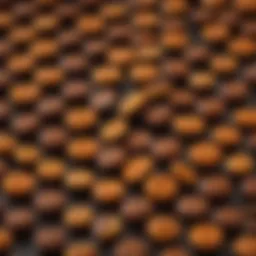 A variety of Reese's products showcasing their unique flavors and forms