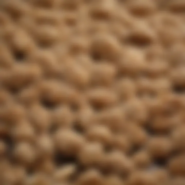 A close-up of sesame seeds showcasing their rich color and texture.
