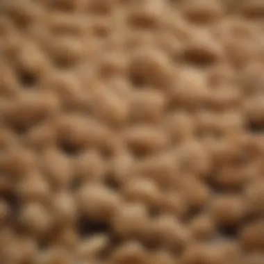 Close-up of Sesame Seeds A close-up of sesame seeds showcasing their rich color and texture.
