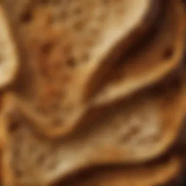 Close-up of toasted sourdough highlighting golden-brown texture