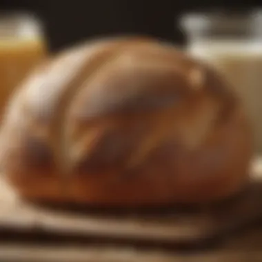 Fermentation Process of Sourdough Illustration depicting the fermentation process of sourdough