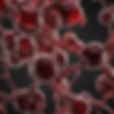 Chemical Structure of Carbohydrates in Red Wine Chemical structure of carbohydrates found in red wine