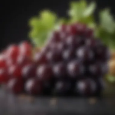 Varietal Grapes and Their Impact on Carbohydrates Varietal grapes used in red wine production