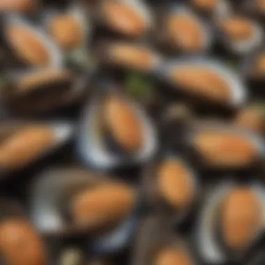 Seafood Comparison: Mussels vs Others Comparison of mussels and other seafood on a chart