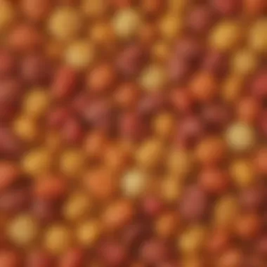 Food Texture Enhancement Visual representation of food texture enhancement