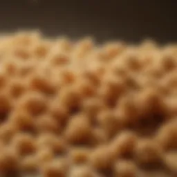 A close-up of panko bread crumbs showcasing their unique texture and lightness.