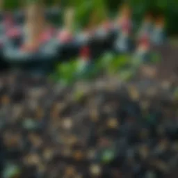 Rich compost ready for application