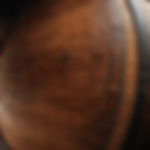 A close-up of a bourbon barrel showcasing the wood grain and rich color