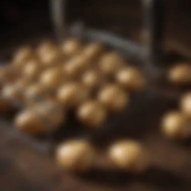 Potato rack maintenance tools arranged aesthetically