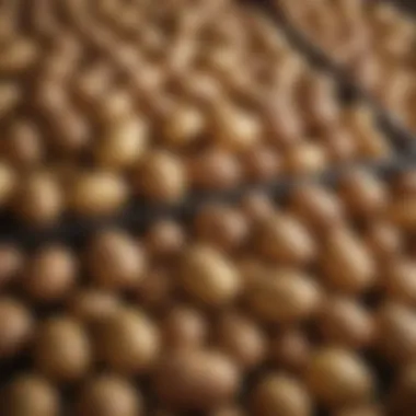 A variety of potatoes displayed on a well-organized rack