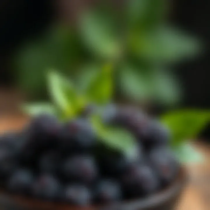 A visually appealing bowl of blackberries displayed with green leaves
