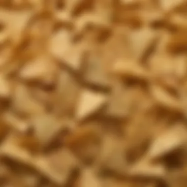 A close-up of a bowl filled with Great Value tortilla chips showcasing their texture and color.