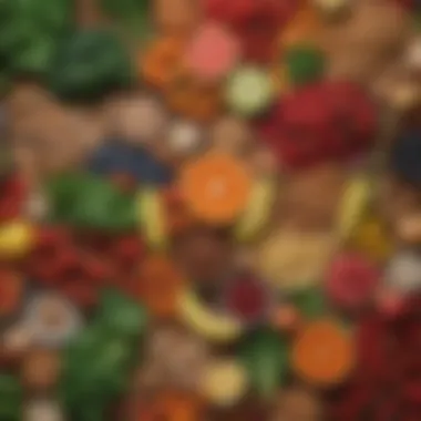 Nutrient-rich vegan foods including fruits, vegetables, grains, and legumes arranged aesthetically