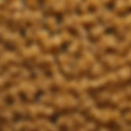 A close-up of whole grain pasta showcasing its texture and color.